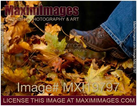 photo of shoe kicking fall leaves concept stock image