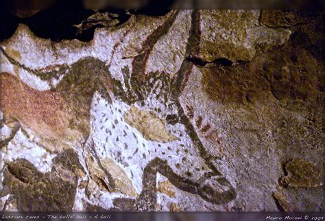 arte preistorica cave paintings france unesco world heritage site