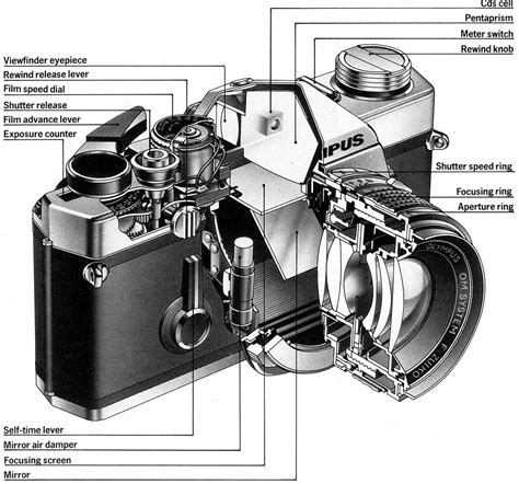 slr camera diagram photography personal space pinterest cameras slr camera  camera slr