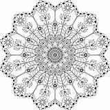 Kleurende Volwassen Bloemen Zentangle sketch template