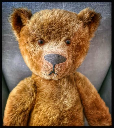 Pin By Edel Namre On Teddy Bears Bear Love Bears All