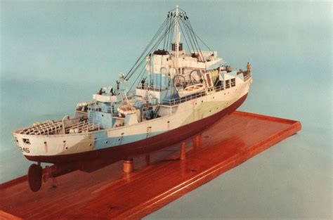 model flower class corvette modeli