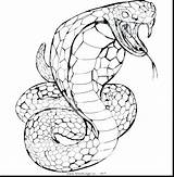 Coloring Pages Snake Rattlesnake Color Realistic Diamondback Sea Viper Getcolorings Template Getdrawings Printable Colorings Python Ball Sheets sketch template