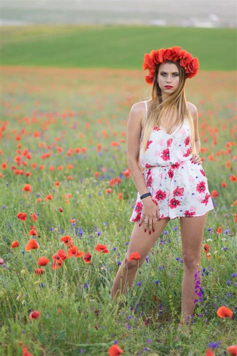 Young Pretty Woman In Poppy Fields Stock Image Image Of Fashion