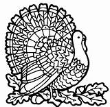 Turkey sketch template