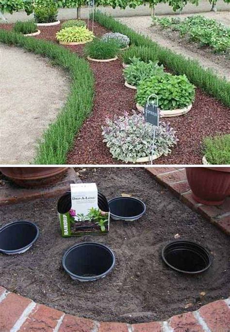 place potted plants   buried pots  easy
