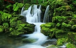 Image result for Waterfalls Windows Background Free Download. Size: 157 x 100. Source: www.pixelstalk.net