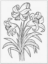 Coloring Flower Pages Spring Printable Realistic Comments sketch template