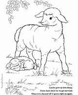 Coloring Easter Pages Lamb Print Lambs Printing Help sketch template