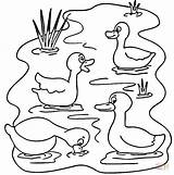 Colorear Estanque Stagno Ducks Canard Lac Animali Dello Itik Estanques Vilain Mewarna Disegno Colouring Frog Ausmalbild Indah Coloriages Kleurplaten Patos sketch template