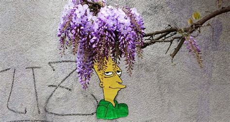 sideshow bob gets a fabulous flowery new hair do thanks to street artist oakoak