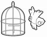 Cage Coloring Bird House Animal Nest Worksheets Preschool Pages Getcolorings Printable Aquarium Color sketch template