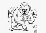 Bear Grizzly Coloring Pages Drawing Cartoon Color Pencil Cub Angry Bears Drawings Cubs Getdrawings Loading Template sketch template