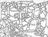 Colorear Paisajes Selva Cucaluna sketch template