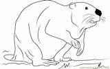 Beaver Coloringpages101 sketch template