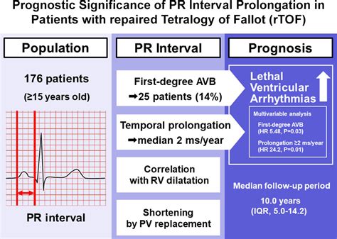 prognostic significance  pr interval prolongation  adult patients  total correction