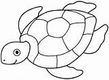 Tortue Coloriages Turtle sketch template