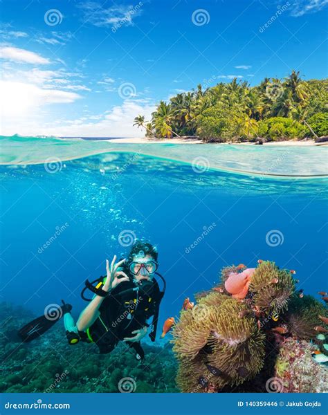 water surface view  woman diver stock photo image