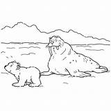 Ijsbeer Lars Kleurplaat Noordpool Kleurplaten Mewarn11 Kiezen Plaatjes Bezoeken Polar Leukvoorkids Leuk sketch template