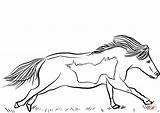 Coloring Horse Pages Miniature Runs Printable sketch template