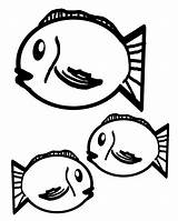 Fish Outlines Outline Drawing Clipart Line Clip Library Stock Publicdomainpictures sketch template
