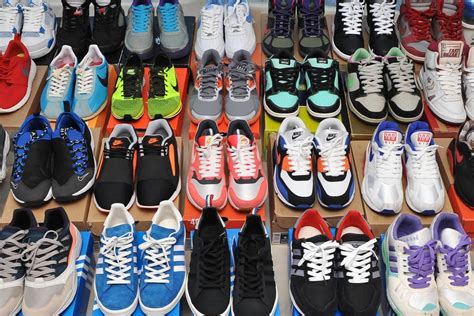 catalogue  sneaker collection