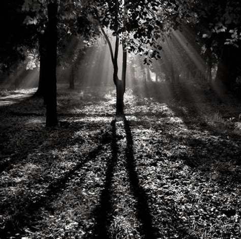 133 best light and shadow images on pinterest beautiful