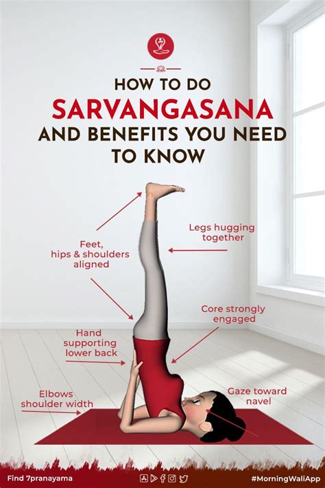 sarvangasana shoulder stand step benefits sarvangasana