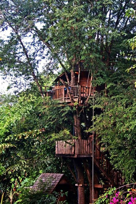 stayed   treehouse camp  thailand  couple months  awesome treehouse