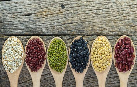 beans a good source of protein and fiber blog healthy options