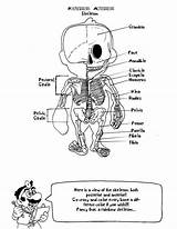 Anatomy Coloring Kids Book Pages sketch template