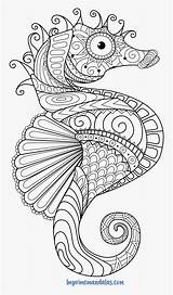 Para Colorear Coloring Seahorse Mar Mandala Caballito Pages Adults Pngitem sketch template