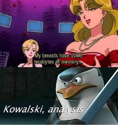 The Best Kowalski Analysis Memes Know Your Meme