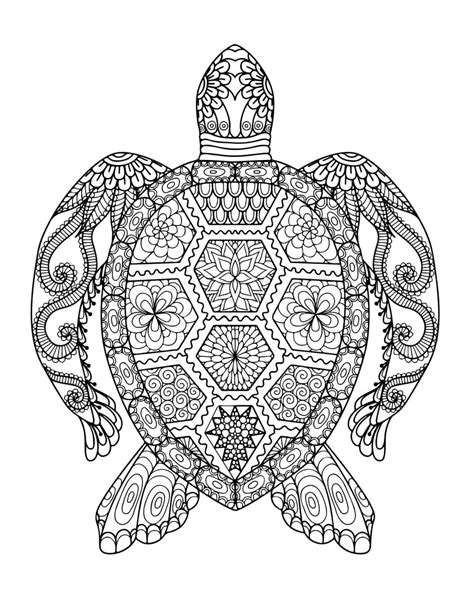 turtle coloring pages  adults neo coloring