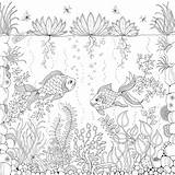 Basford Johanna Ausmalbilder Giardino Unterwasserwelt Forest Segreto Unterwasser Colorare Erwachsene Enchanted Colouring Adulte Aquatique Marin Sous Adulti Coloringhome sketch template