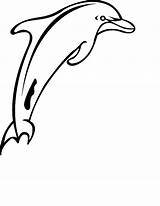 Dolfijn Dolfijnen sketch template