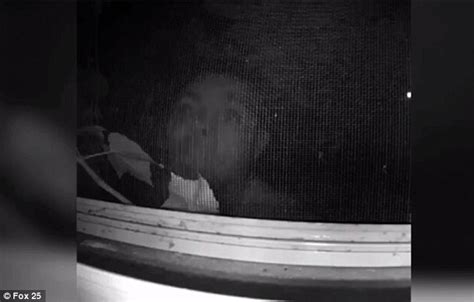 peeping tom caught on film outside boston woman s bedroom as she takes