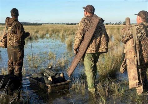 duck hunting gold  gold fm  local national news