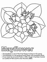 Mayflower Scotia Nova Kwanzaa Designlooter Massachusetts sketch template