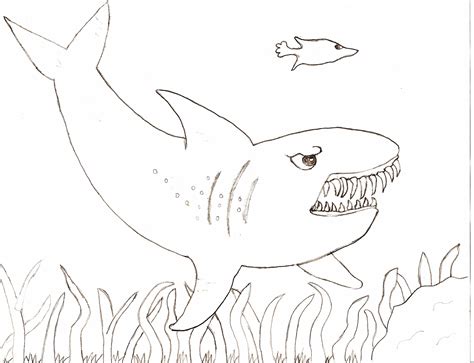 printable shark coloring pages  kids