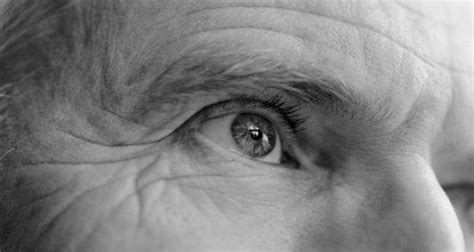 detailed molecular map   eye   treat vision loss