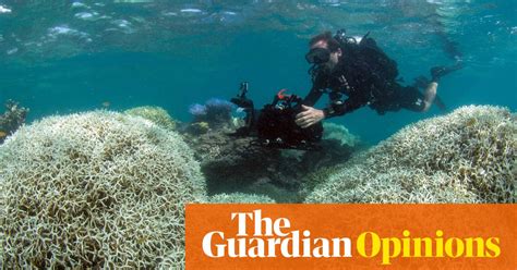 Link Between Fossil Fuels And Great Barrier Reef Bleaching Clear And