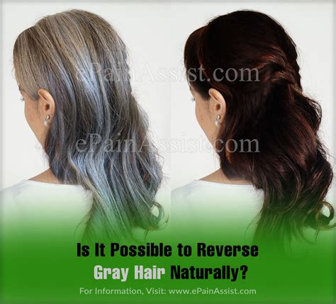 image result for reverse highlights for gray hair hair cuts in 2018