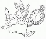 Wonderland Conejo Reloj Rabbit Coelho Wunderland Maravillas País Dibujosonline Relógio Colorironline Getdrawings Pintar Coloringhome Coloringtop Nicholask sketch template
