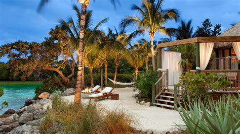 art  tropical distancing   palm island resort spa