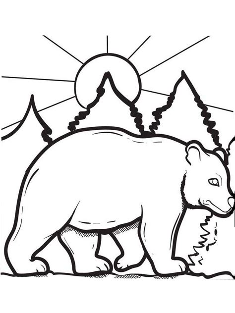brown bear coloring pages  thiva hellas