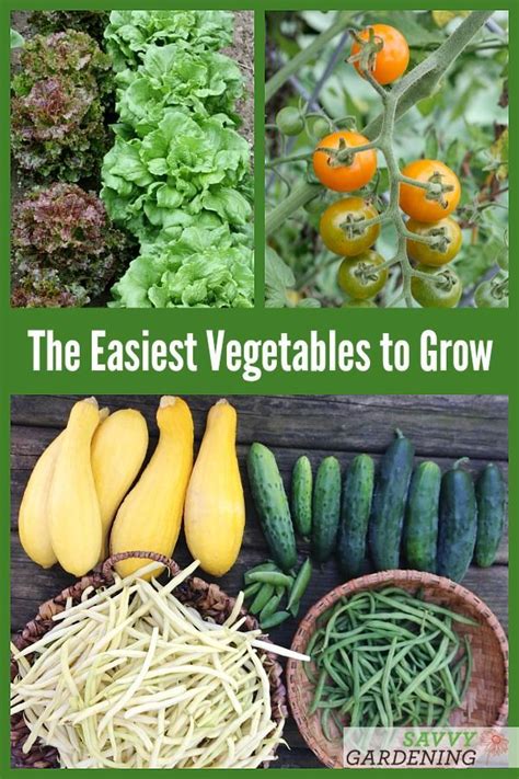 The Easy Guide To Growing Vegetables From Seed To Plant Including