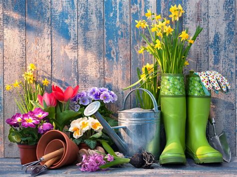 gardening tips  save time money  effort readers digest