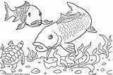 Carp sketch template