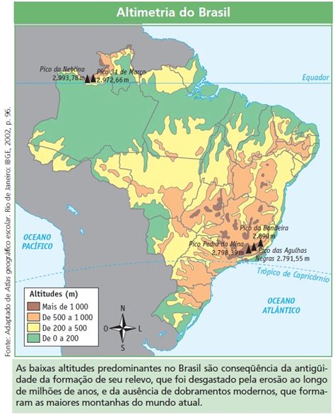 geografalando aula vegetação brasileira